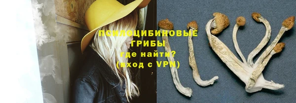 марки nbome Горняк