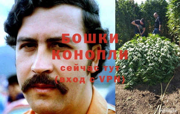 соль ск Вяземский