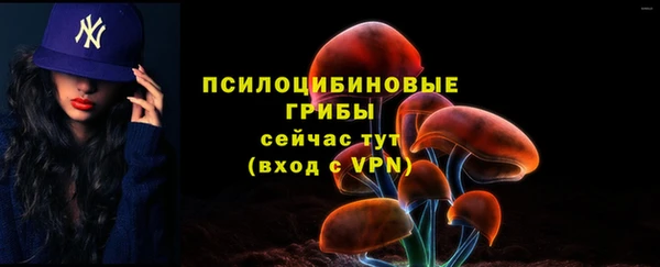 стафф Гусиноозёрск