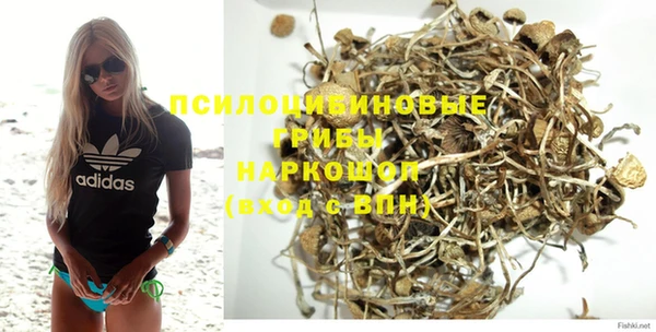 прущий лед Горно-Алтайск
