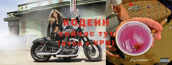 прущая мука Гусев