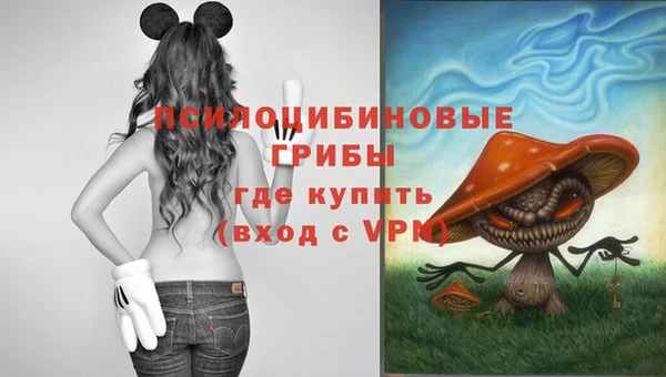 прущий лед Горно-Алтайск