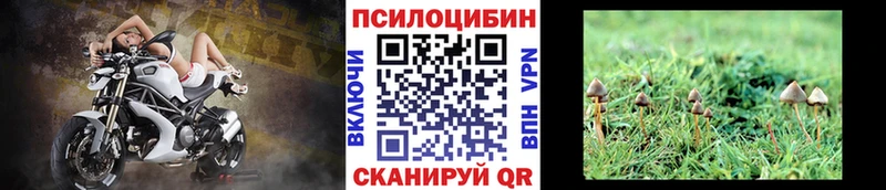 мега рабочий сайт  Новое Девяткино  Галлюциногенные грибы Psilocybe 