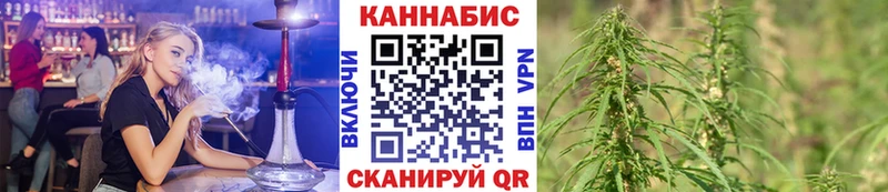 Бошки марихуана сатива  Новое Девяткино 